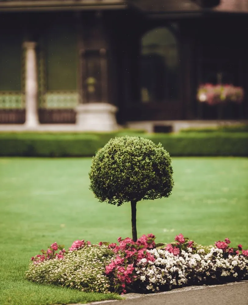 Reliable landscaping services for outdoor upgrades across Winston-Salem, NC - Clifton Landscaping & Design