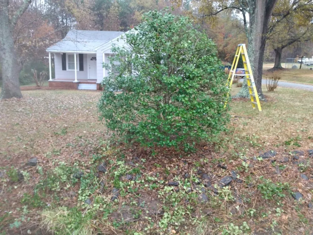 Top-rated residential landscaping experts serving Winston-Salem, NC - Clifton Landscaping & Design