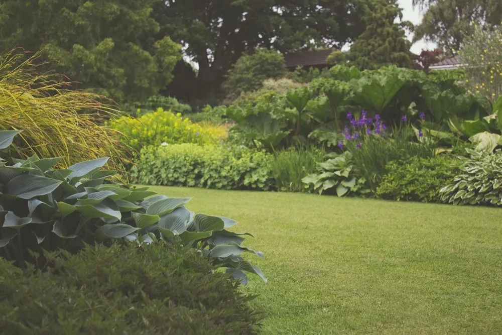 Local landscaping services in Winston-Salem, NC by Clifton Landscaping & Design