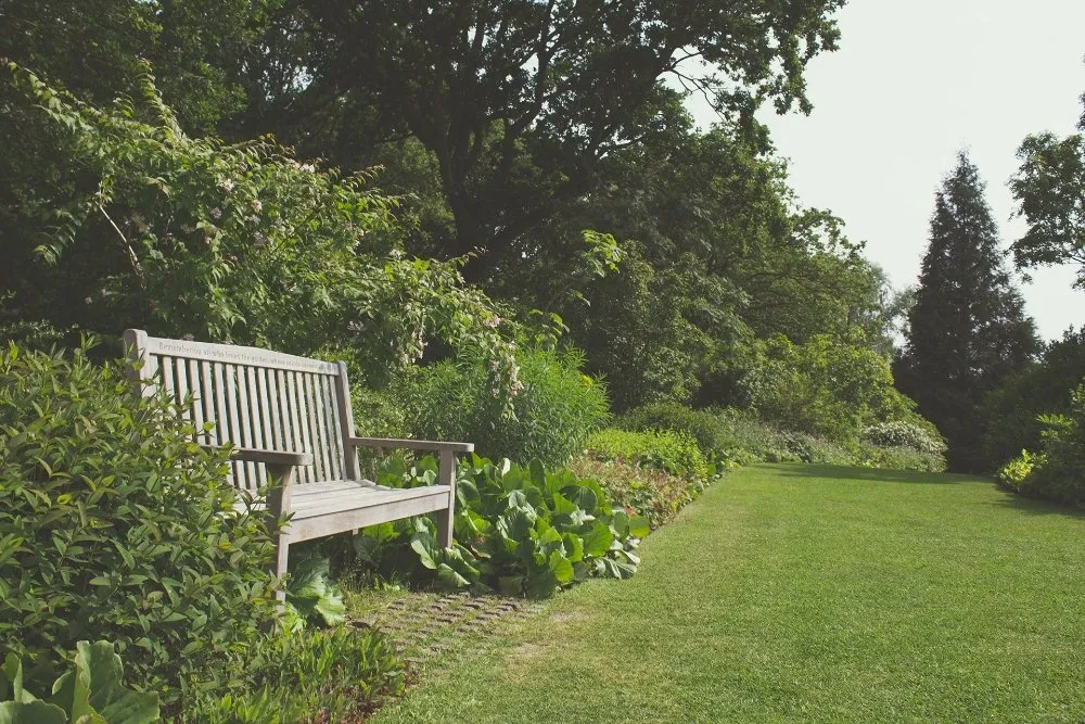 Custom yard cleanup service experts serving Winston-Salem, NC - Clifton Landscaping & Design