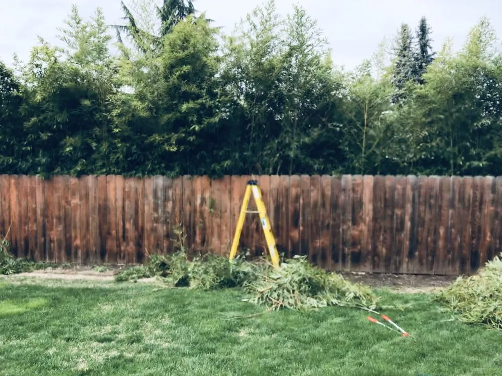 Affordable landscape installation in Medford, OR by Climax Lawn & Landscape