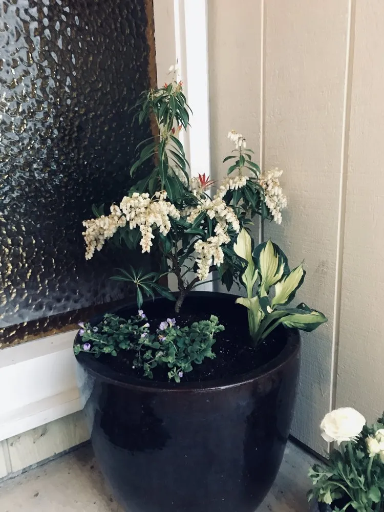 Top-rated yard cleanup service experts serving Medford, OR - Climax Lawn & Landscape