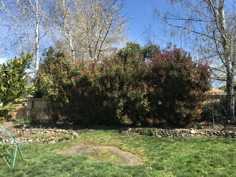 Trusted lawn care service for homes across Medford, OR - Climax Lawn & Landscape