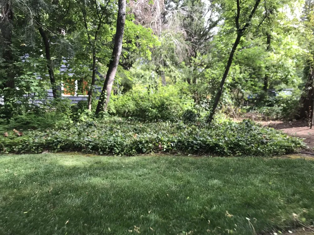 Trusted yard maintenance for beautiful yards in Medford, OR by Climax Lawn & Landscape