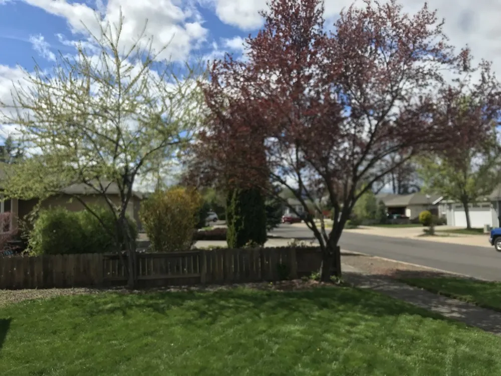 Custom landscape design for outdoor upgrades in Medford, OR by Climax Lawn & Landscape