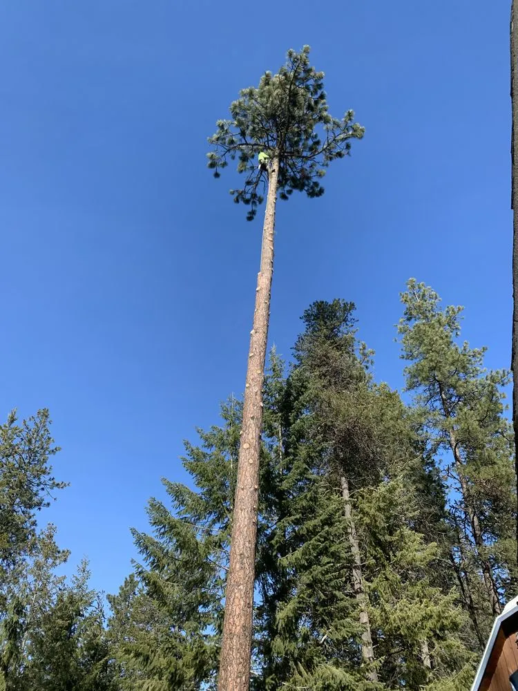 Local landscaping services with custom design in Marysville, WA by Climb High Tree & Property Care