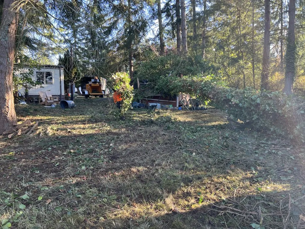 Top-rated lawn care service in Marysville, WA by Climb High Tree & Property Care