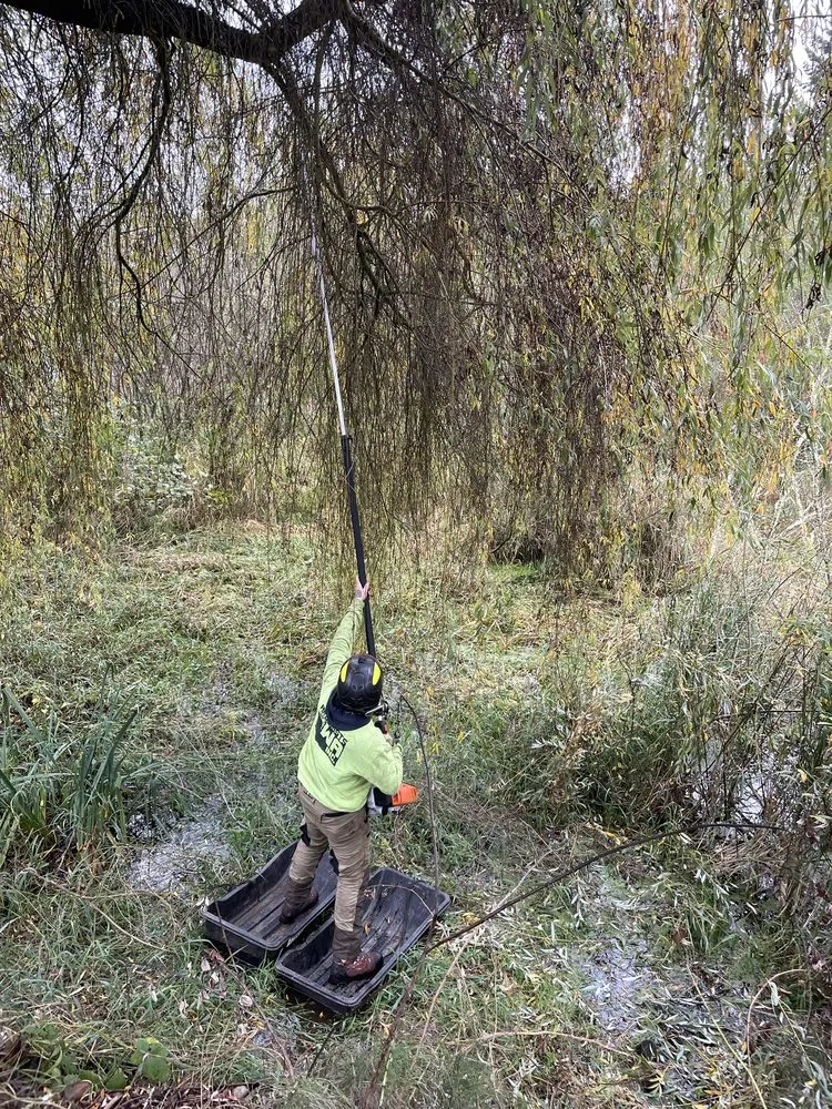 Top-rated yard cleanup service in Marysville, WA - Climb High Tree & Property Care