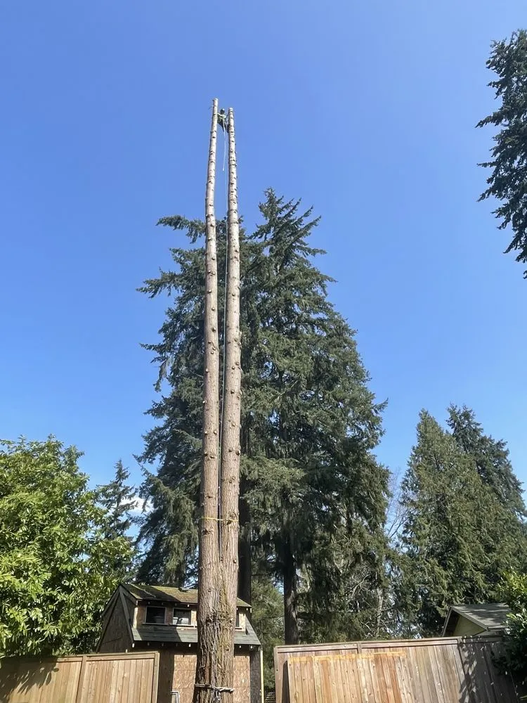 Trusted outdoor landscaping in Marysville, WA - Climb High Tree & Property Care