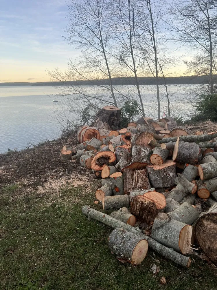 Expert yard cleanup service for year-round maintenance across Marysville, WA - Climb High Tree & Property Care