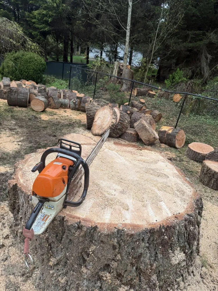 Reliable yard maintenance in Marysville, WA - Climb High Tree & Property Care