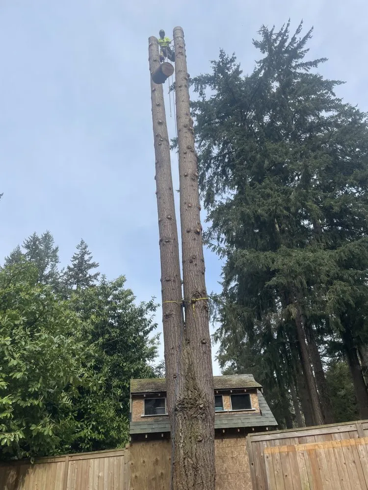 Professional residential landscaping with custom design in Marysville, WA by Climb High Tree & Property Care