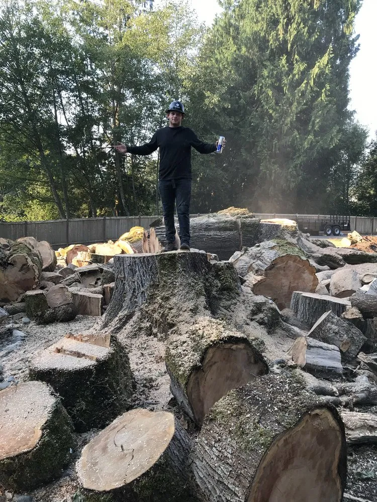 Top-rated residential landscaping experts serving Marysville, WA - Climb High Tree & Property Care