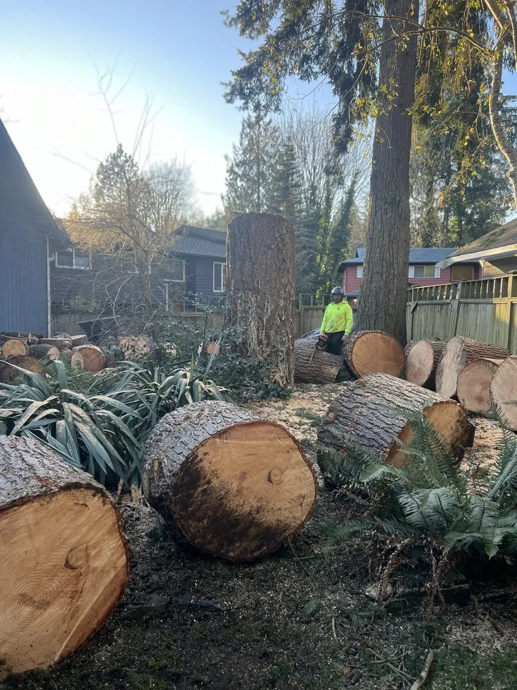 Affordable garden landscaping experts serving Marysville, WA - Climb High Tree & Property Care