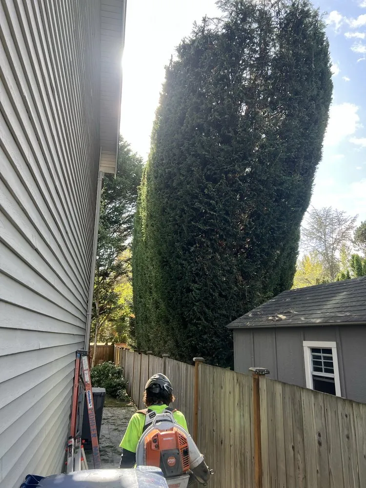 Affordable landscape installation in Marysville, WA - Climb High Tree & Property Care