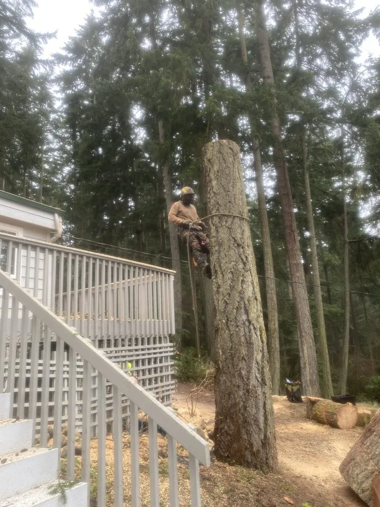 Professional outdoor landscaping in Marysville, WA by Climb High Tree & Property Care