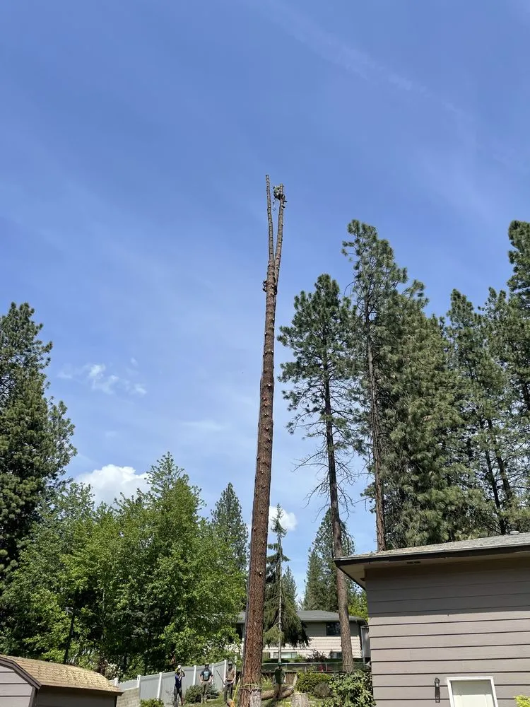 Trusted lawn care service for residential properties in Marysville, WA by Climb High Tree & Property Care