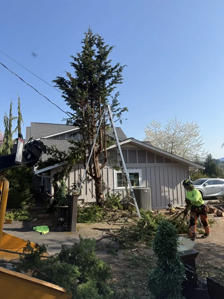 Local residential landscaping for year-round maintenance across Marysville, WA - Climb High Tree & Property Care