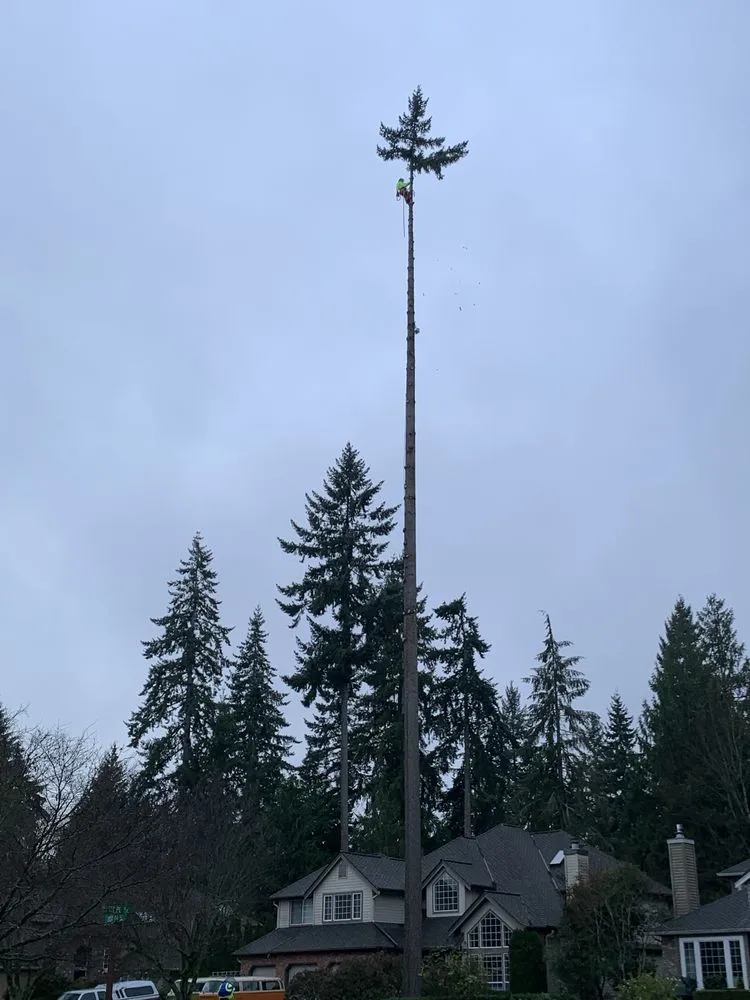 Trusted lawn mowing service in Marysville, WA by Climb High Tree & Property Care