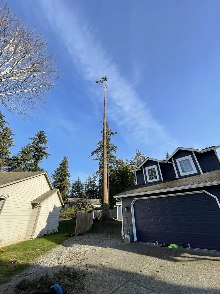 Reliable residential landscaping in Marysville, WA - Climb High Tree & Property Care