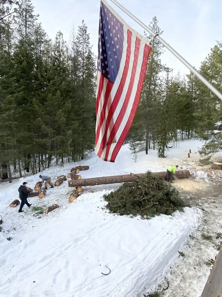 Top-rated landscaping services experts serving Marysville, WA - Climb High Tree & Property Care
