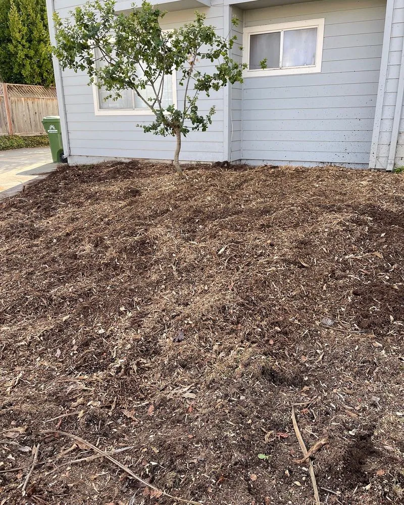 Custom landscape installation experts serving San Jose, CA - Climb-Rite Tree Services