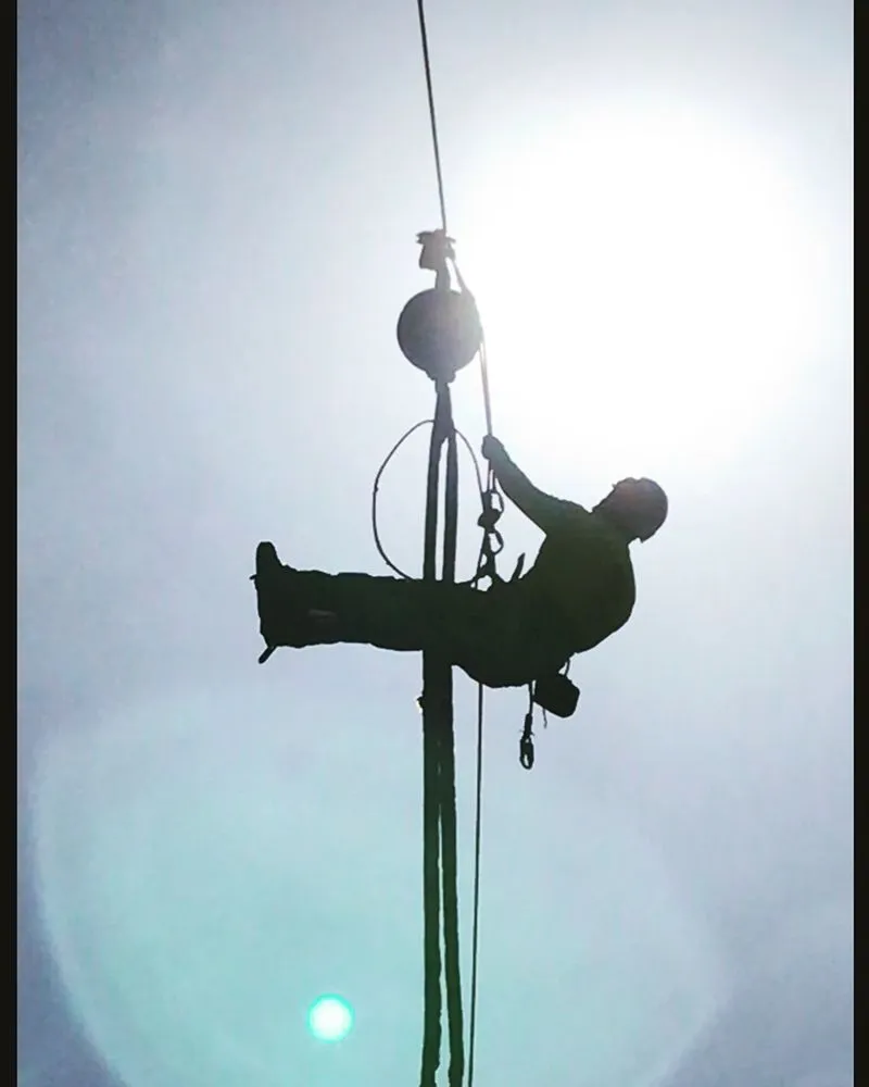 Top-rated outdoor landscaping in San Jose, CA by Climb-Rite Tree Services