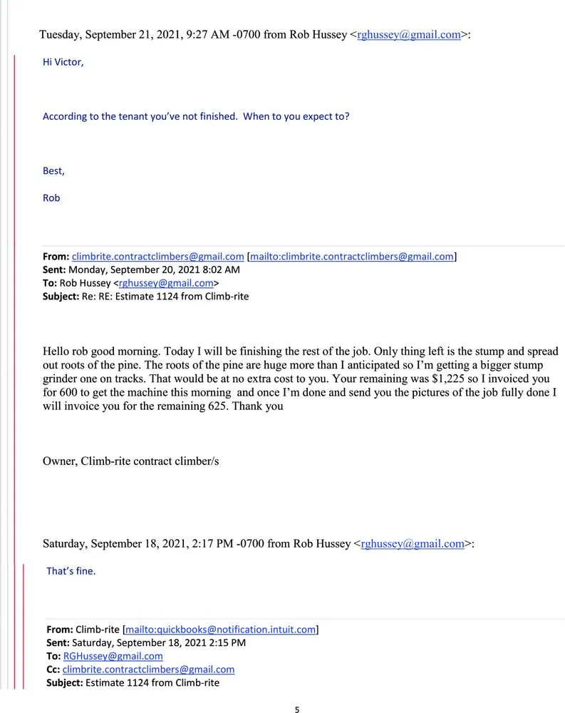 Professional outdoor landscaping in San Jose, CA by Climb-Rite Tree Services