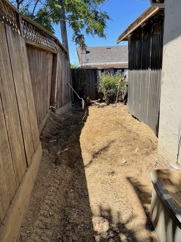 Trusted lawn mowing service for year-round maintenance in San Jose, CA by Climb-Rite Tree Services