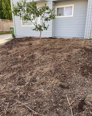 Climb-Rite Tree Services Logo