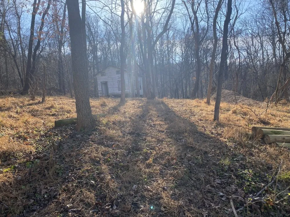 Custom lawn care service for beautiful yards across Richmond, VA - Climber Tree Services