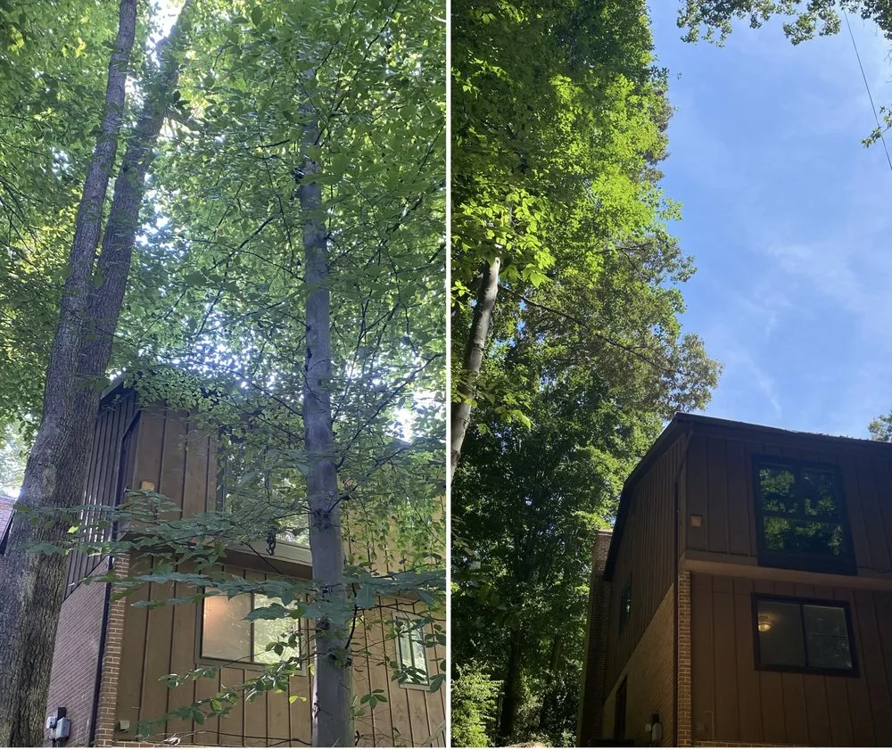 Affordable garden landscaping experts serving Richmond, VA - Climber Tree Services