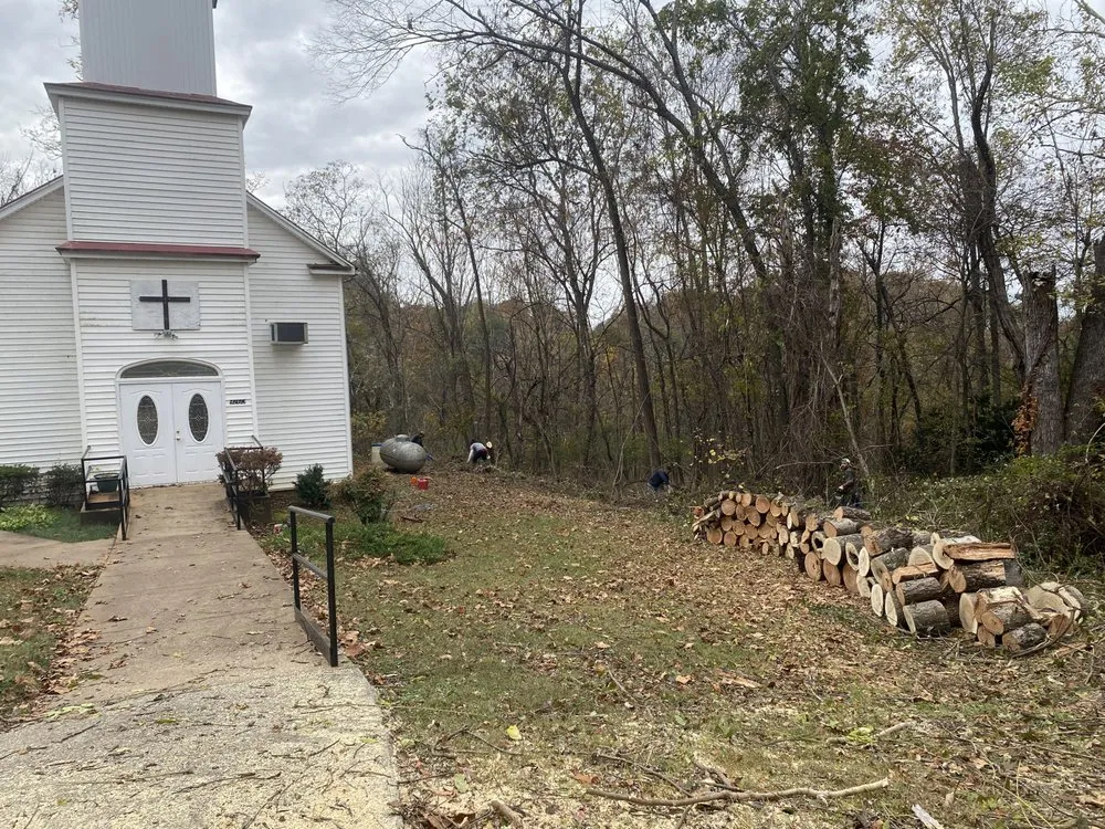 Affordable yard cleanup service experts serving Richmond, VA - Climber Tree Services