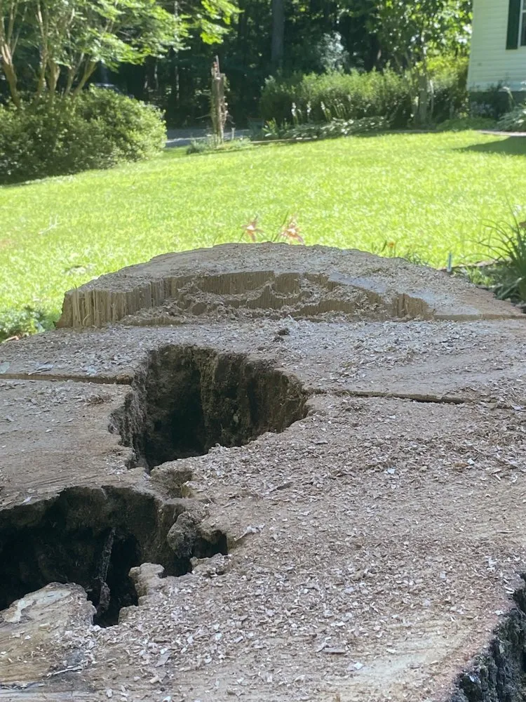 Local landscaping services experts serving Richmond, VA - Climber Tree Services