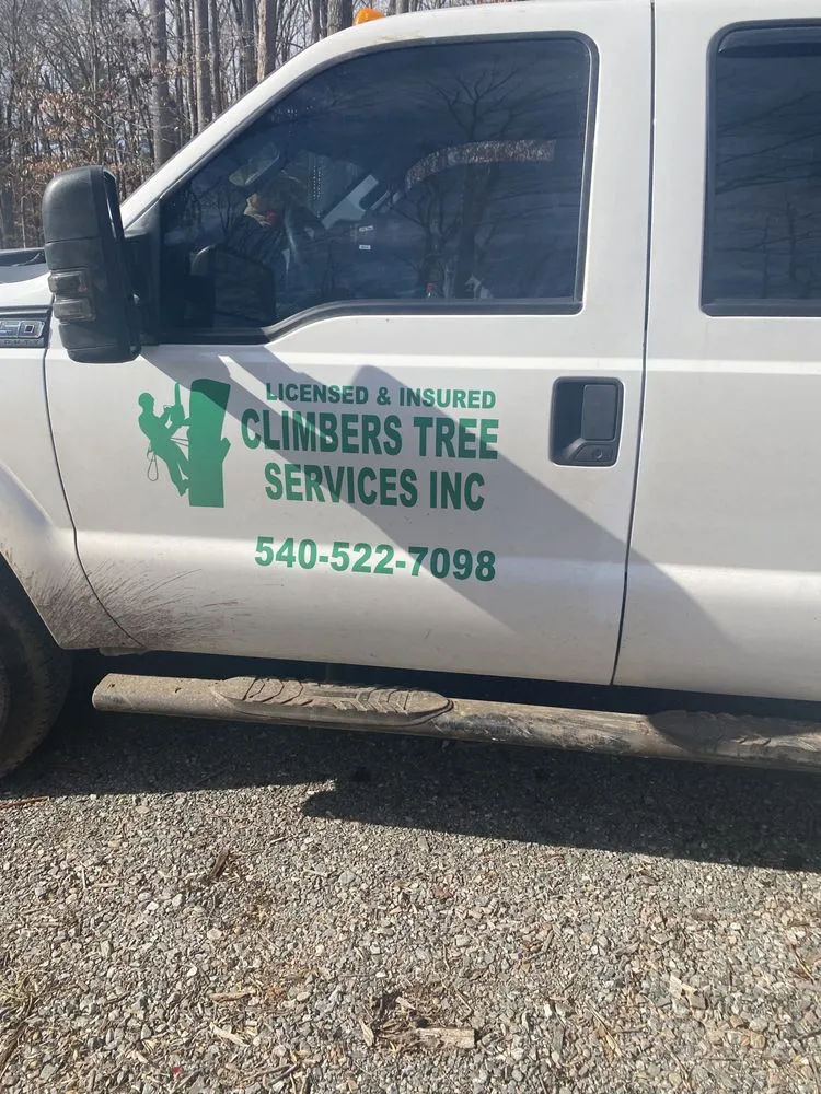 Affordable landscape installation for outdoor upgrades in Richmond, VA by Climber Tree Services