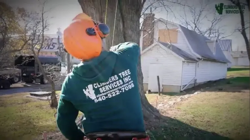 Local lawn mowing service for outdoor upgrades across Richmond, VA - Climber Tree Services