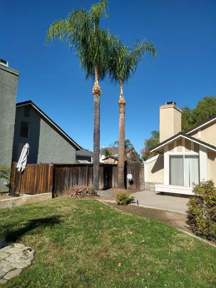 Professional residential landscaping for beautiful yards in Riverside, CA by Climbing High Tree Services