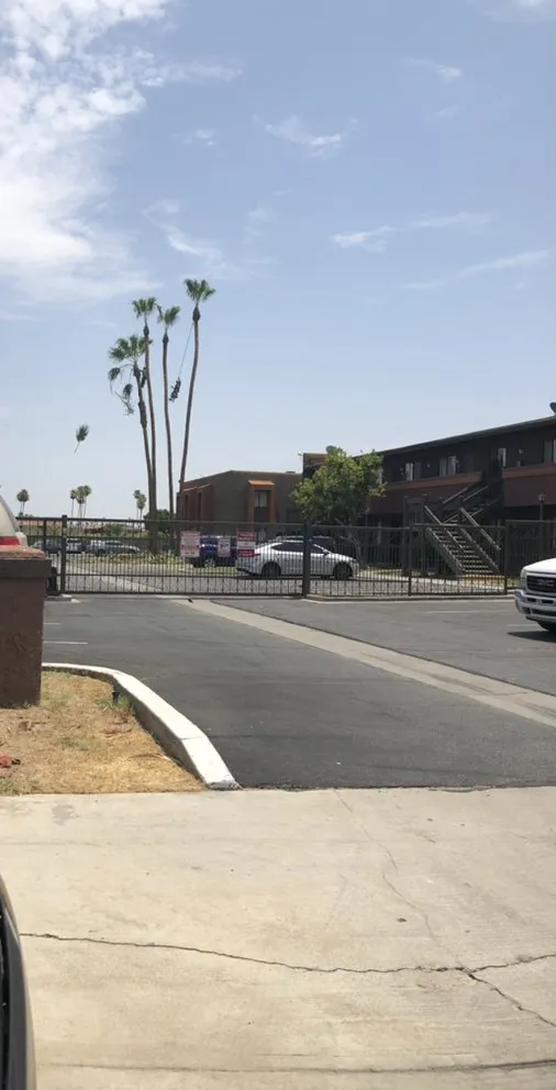 Custom landscaping services in Riverside, CA - Climbing High Tree Services