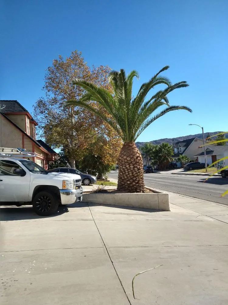 Trusted residential landscaping for residential properties in Riverside, CA by Climbing High Tree Services
