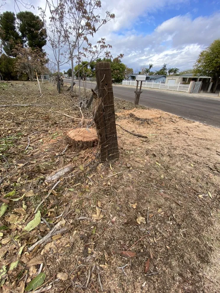 Top-rated outdoor landscaping with custom design across Riverside, CA - Climbing High Tree Services