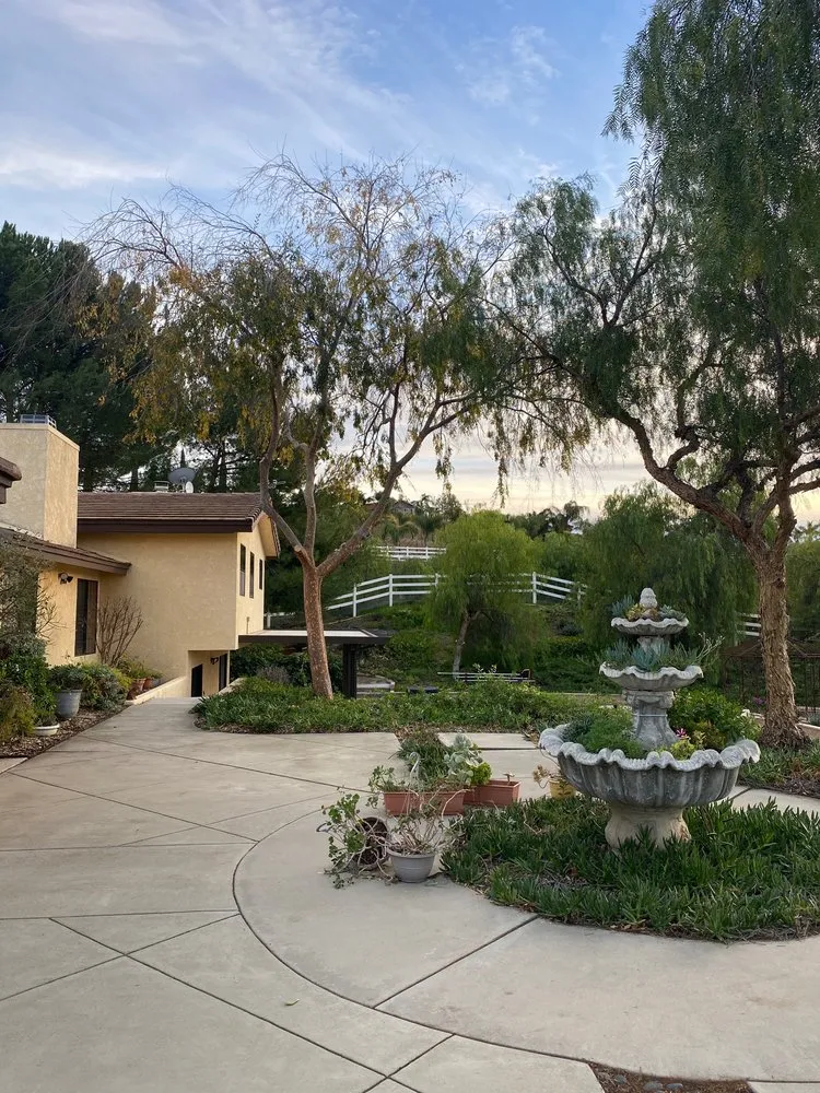 Custom yard maintenance experts serving Riverside, CA - Climbing High Tree Services