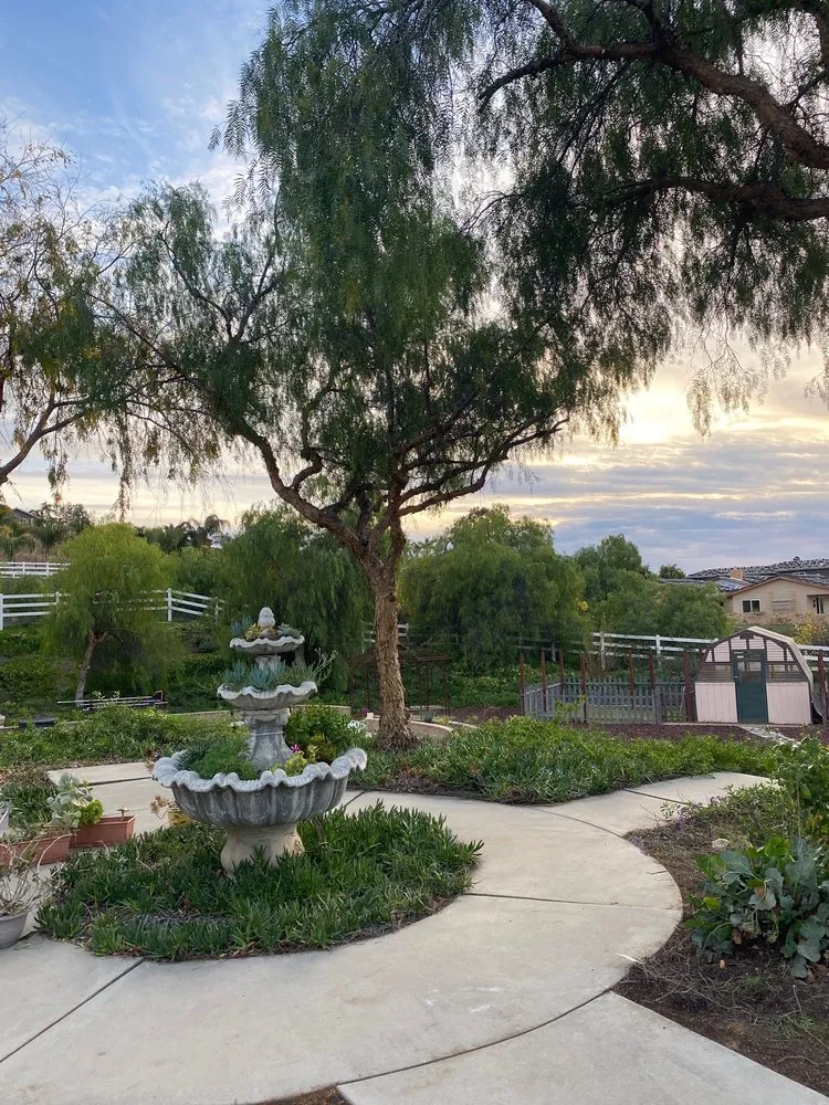 Custom landscaping services for outdoor upgrades in Riverside, CA by Climbing High Tree Services