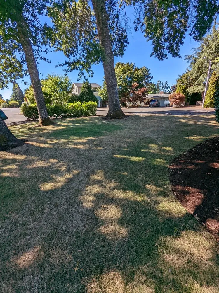 Custom yard maintenance in Hillsboro, OR by Climbing Monkeys Tree Services & Landscaping