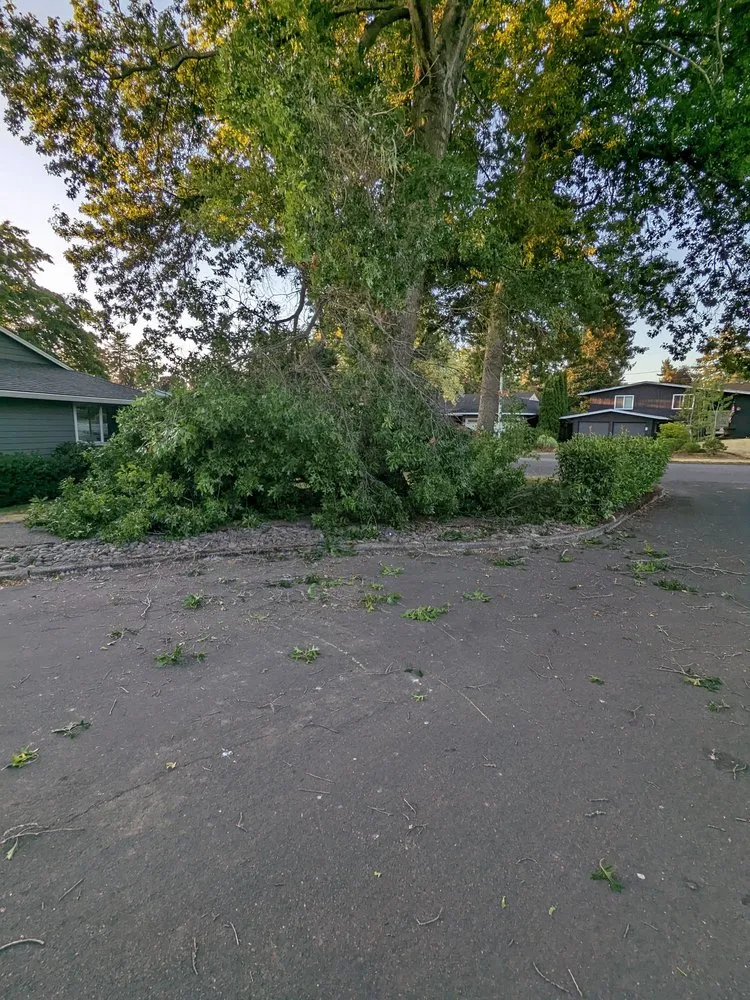 Expert yard cleanup service experts serving Hillsboro, OR - Climbing Monkeys Tree Services & Landscaping