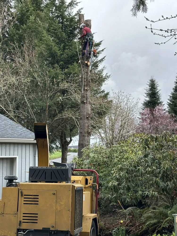 Reliable residential landscaping in Hillsboro, OR - Climbing Monkeys Tree Services & Landscaping