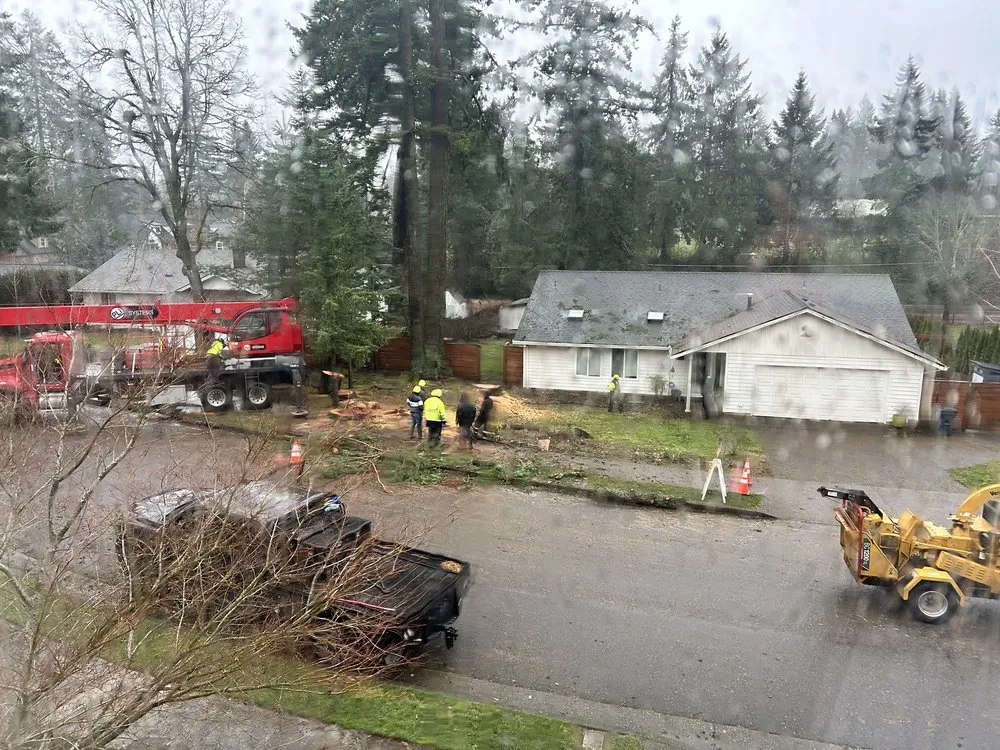 Professional landscape design with custom design in Hillsboro, OR by Climbing Monkeys Tree Services & Landscaping