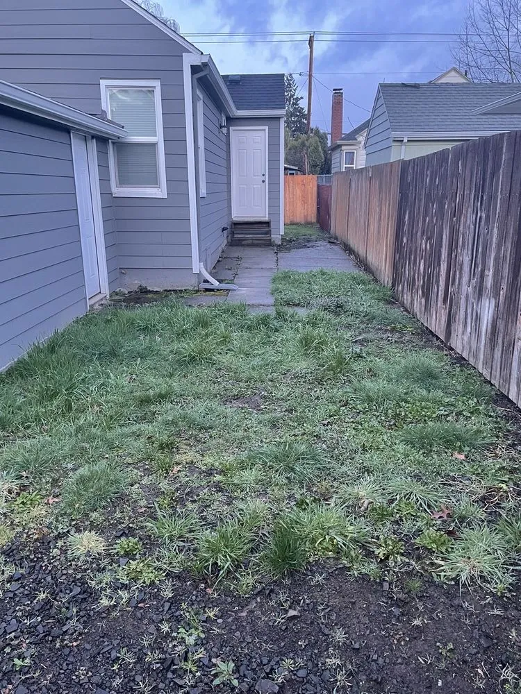 Local landscape design experts serving Hillsboro, OR - Climbing Monkeys Tree Services & Landscaping