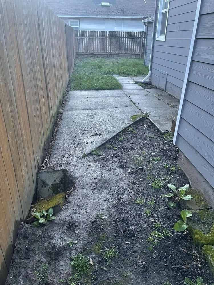 Top-rated residential landscaping in Hillsboro, OR - Climbing Monkeys Tree Services & Landscaping