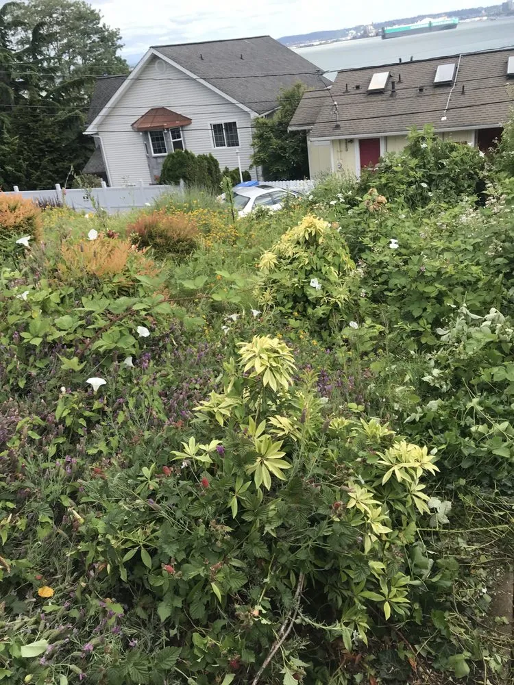 Custom garden landscaping for year-round maintenance across Poulsbo, WA - Cline & Maib