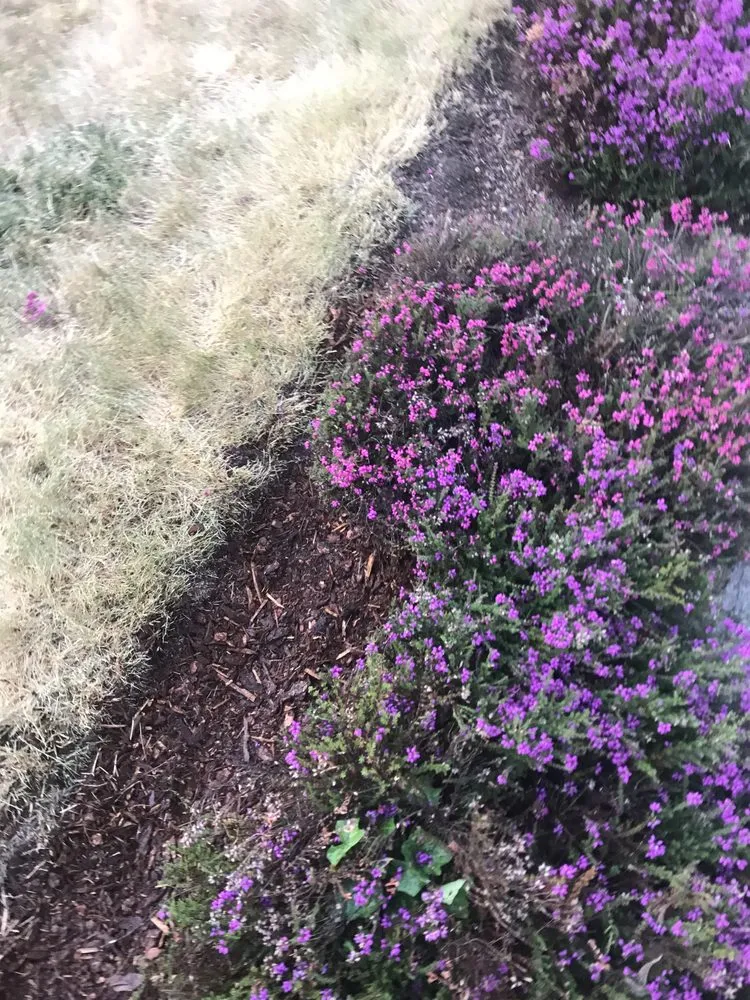 Affordable outdoor landscaping in Poulsbo, WA - Cline & Maib